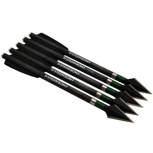 AR-Series – schwere 16g Carbon-Kriegspfeile – Set aus 5 Stk.